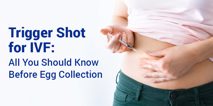 Trigger Shot for IVF: All You Should Know Before Egg Collection